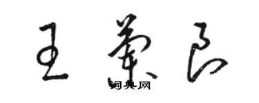 駱恆光王蘭良草書個性簽名怎么寫