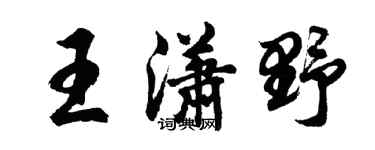 胡問遂王瀟野行書個性簽名怎么寫