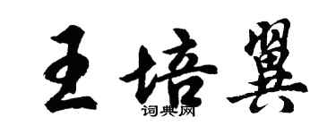 胡問遂王培翼行書個性簽名怎么寫