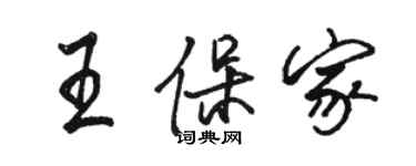 駱恆光王保家行書個性簽名怎么寫