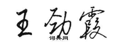駱恆光王勁霞行書個性簽名怎么寫