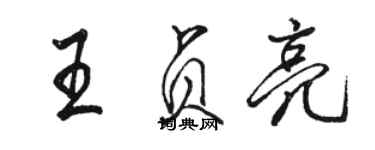 駱恆光王貞亮行書個性簽名怎么寫