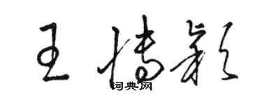 駱恆光王博穎草書個性簽名怎么寫