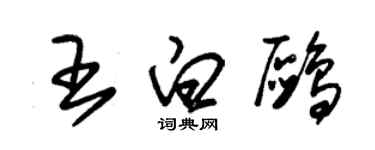 朱錫榮王白鷗草書個性簽名怎么寫