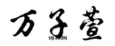 胡問遂萬子萱行書個性簽名怎么寫