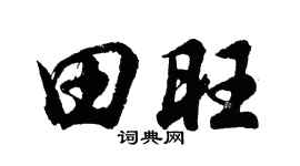 胡問遂田旺行書個性簽名怎么寫