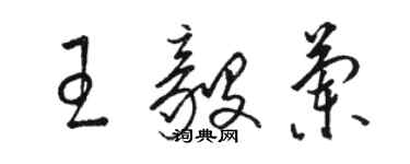 駱恆光王毅蘭草書個性簽名怎么寫