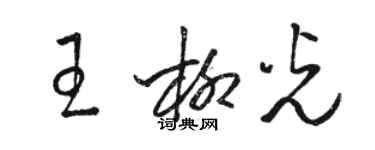 駱恆光王柳光草書個性簽名怎么寫