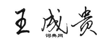 駱恆光王成貴行書個性簽名怎么寫