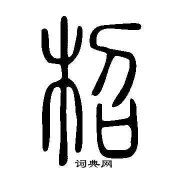 說文解字寫的柖