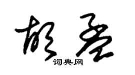 朱錫榮胡孟草書個性簽名怎么寫