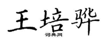 丁謙王培驊楷書個性簽名怎么寫