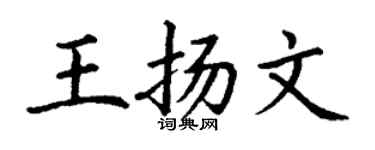 丁謙王揚文楷書個性簽名怎么寫