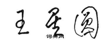 駱恆光王星圓草書個性簽名怎么寫