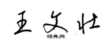 梁錦英王文壯草書個性簽名怎么寫