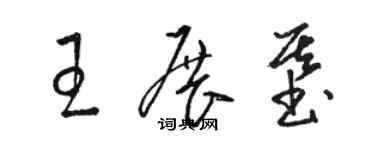 駱恆光王展基草書個性簽名怎么寫