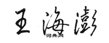 駱恆光王海澎行書個性簽名怎么寫