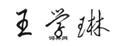 駱恆光王學琳行書個性簽名怎么寫