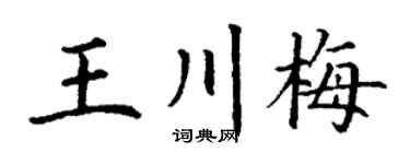 丁謙王川梅楷書個性簽名怎么寫