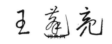 駱恆光王蓬亮草書個性簽名怎么寫