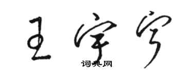 駱恆光王宇寧草書個性簽名怎么寫