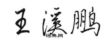 駱恆光王溪鵬行書個性簽名怎么寫