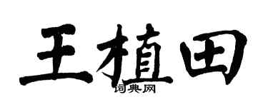 翁闓運王植田楷書個性簽名怎么寫