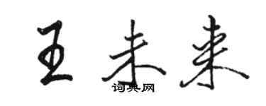 駱恆光王未來行書個性簽名怎么寫