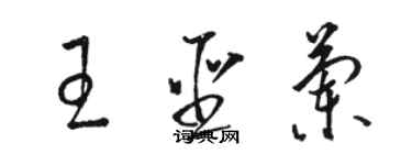 駱恆光王聖蘭草書個性簽名怎么寫