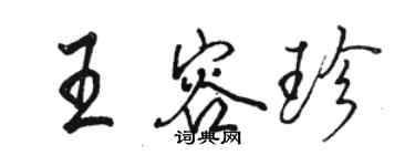 駱恆光王容珍行書個性簽名怎么寫