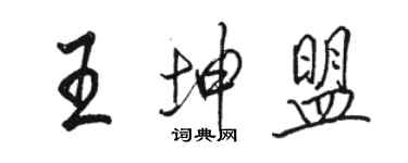 駱恆光王坤盟行書個性簽名怎么寫