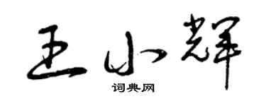 曾慶福王小輝草書個性簽名怎么寫