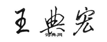 駱恆光王典宏行書個性簽名怎么寫