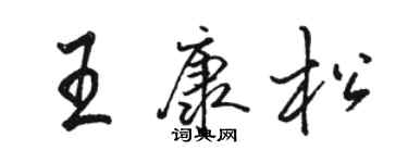 駱恆光王康松行書個性簽名怎么寫