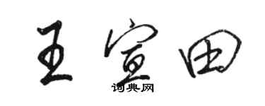 駱恆光王宣田行書個性簽名怎么寫