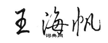 駱恆光王海帆行書個性簽名怎么寫