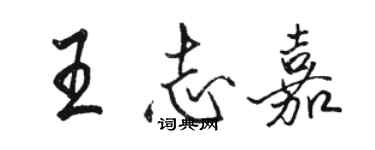 駱恆光王志嘉行書個性簽名怎么寫