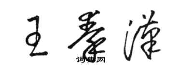 駱恆光王秦漢草書個性簽名怎么寫