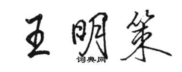 駱恆光王明策行書個性簽名怎么寫