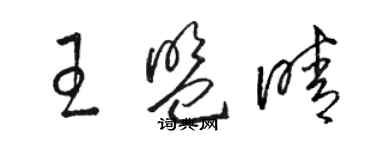 駱恆光王盟晴草書個性簽名怎么寫