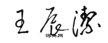 駱恆光王辰潔草書個性簽名怎么寫