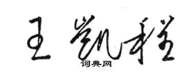 駱恆光王凱程草書個性簽名怎么寫