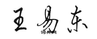 駱恆光王易東行書個性簽名怎么寫