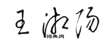 駱恆光王湘陽草書個性簽名怎么寫