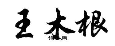 胡問遂王木根行書個性簽名怎么寫