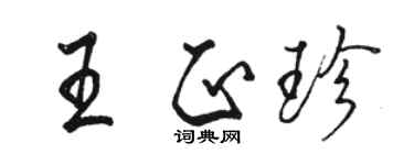 駱恆光王正珍行書個性簽名怎么寫