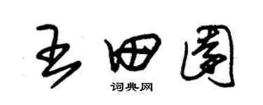 朱錫榮王田園草書個性簽名怎么寫