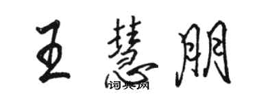 駱恆光王慧朋行書個性簽名怎么寫