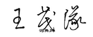 駱恆光王茂隊草書個性簽名怎么寫