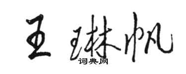 駱恆光王琳帆行書個性簽名怎么寫